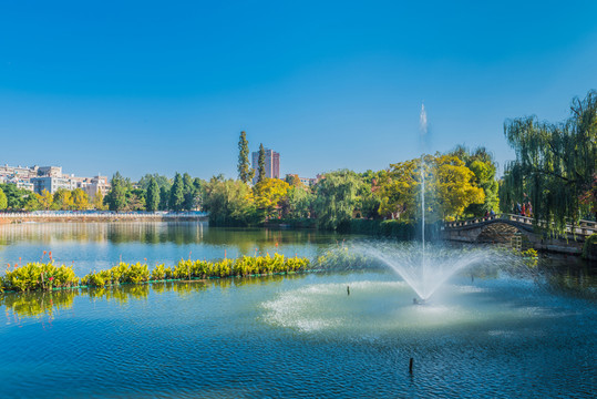 公園