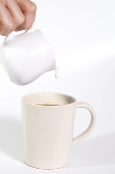 茶