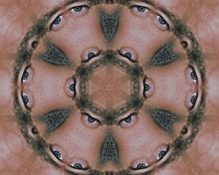 摘要