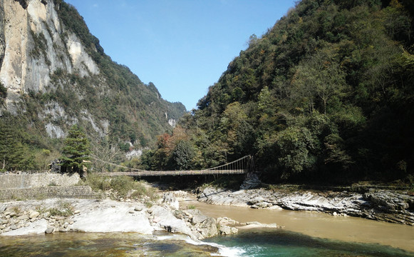 高山綠樹