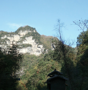 高山綠樹