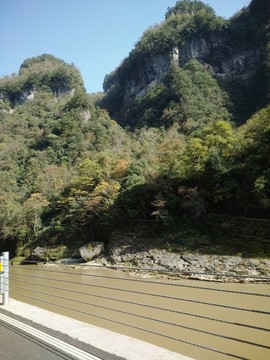 高山綠樹