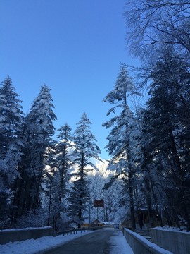 四川海螺溝之冬天的雪景