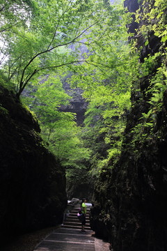 野山坡