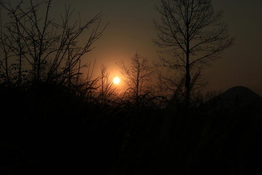 夕陽(yáng)