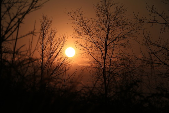 夕陽