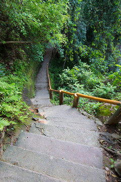 林間小道 丹霞山