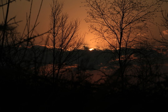 夕陽