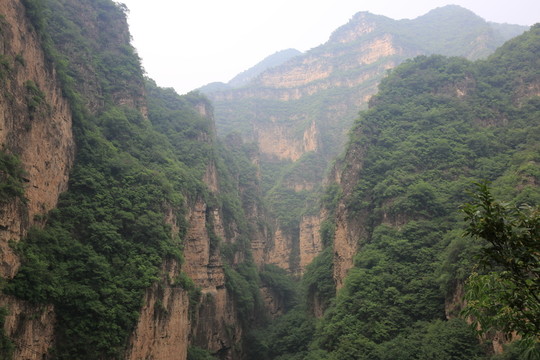 野山坡