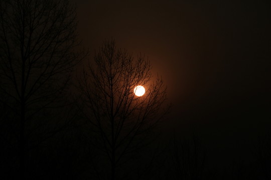 夕陽(yáng)