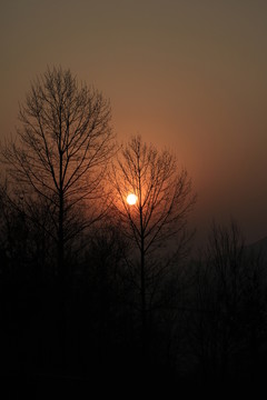 夕陽
