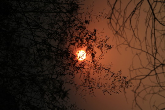 夕陽