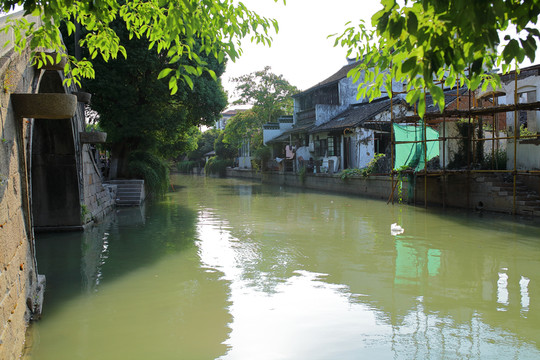 練塘古鎮(zhèn) 練塘 古鎮(zhèn)老街 廊棚