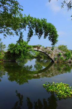 石橋