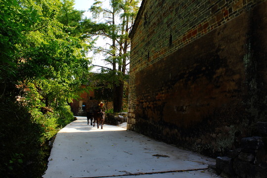 農(nóng)村
