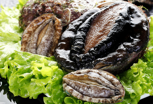 澳洲鮑魚(yú)