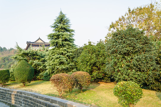 明城墻與園林綠化