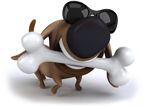 動物