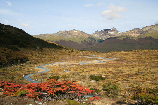 阿根廷