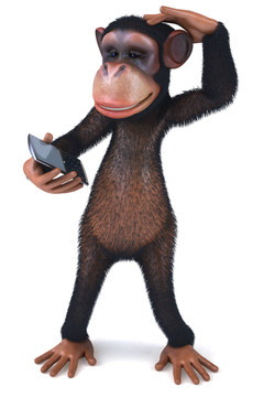 動物