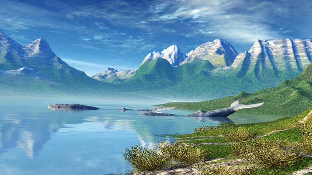 與鯨魚的海景