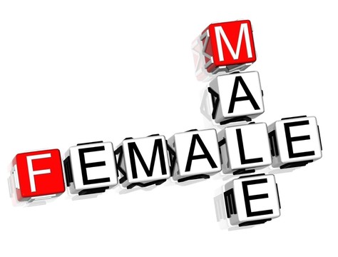 女人