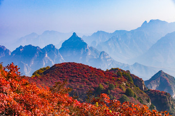 硐山紅葉