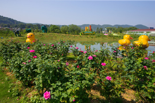 花海世界