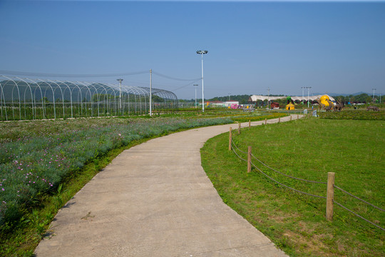花海主題公園 道路