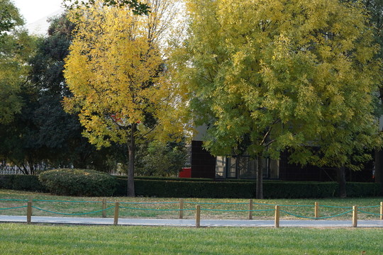 公園秋光