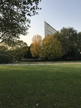 公園秋光