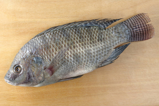 食物