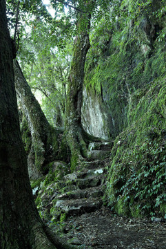環(huán)境