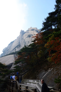 AAAAA天柱山旅游