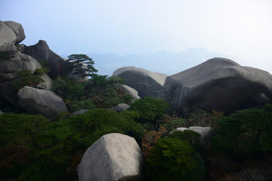 AAAAA天柱山旅游
