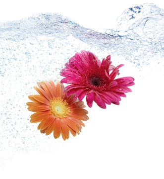 花