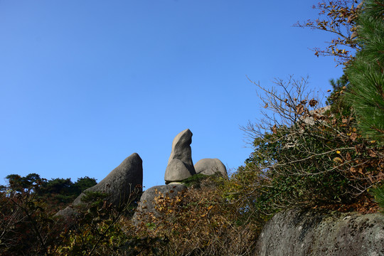 AAAAA天柱山旅游