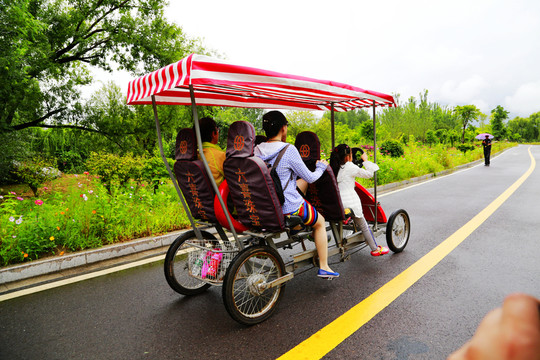 騎車 騎自行車 家庭自行車 騎