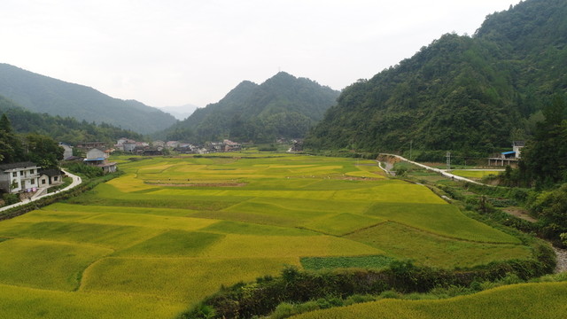 收獲季節(jié)