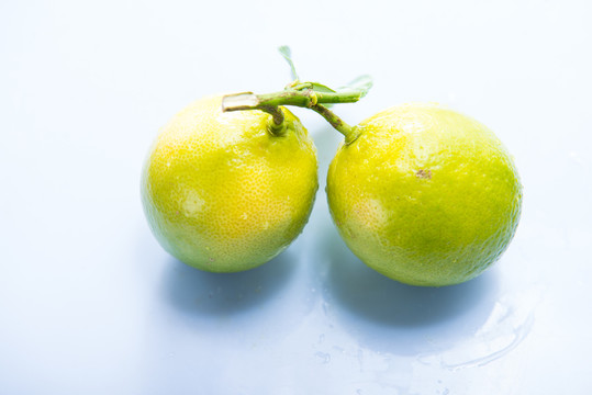 檸檬 青檸檬 青檸 綠色 水果