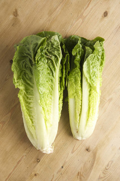 食物