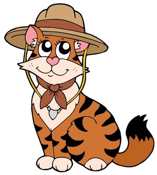 動物