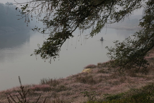 水蓼花開(kāi) （28）