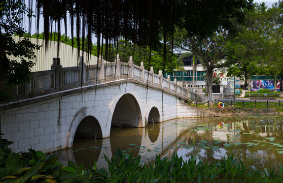園林建筑 小橋流水