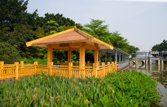 園林景觀