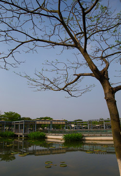 園林景觀 園林環(huán)境