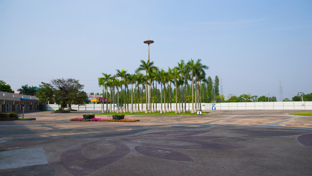 綠化樹(shù) 風(fēng)景樹(shù)