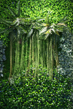 植物墻