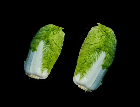大白菜