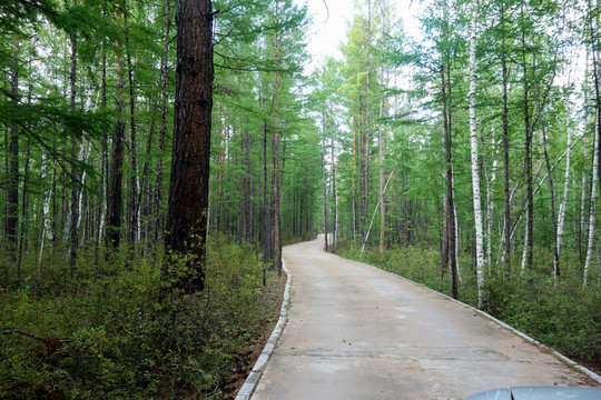 林間小路